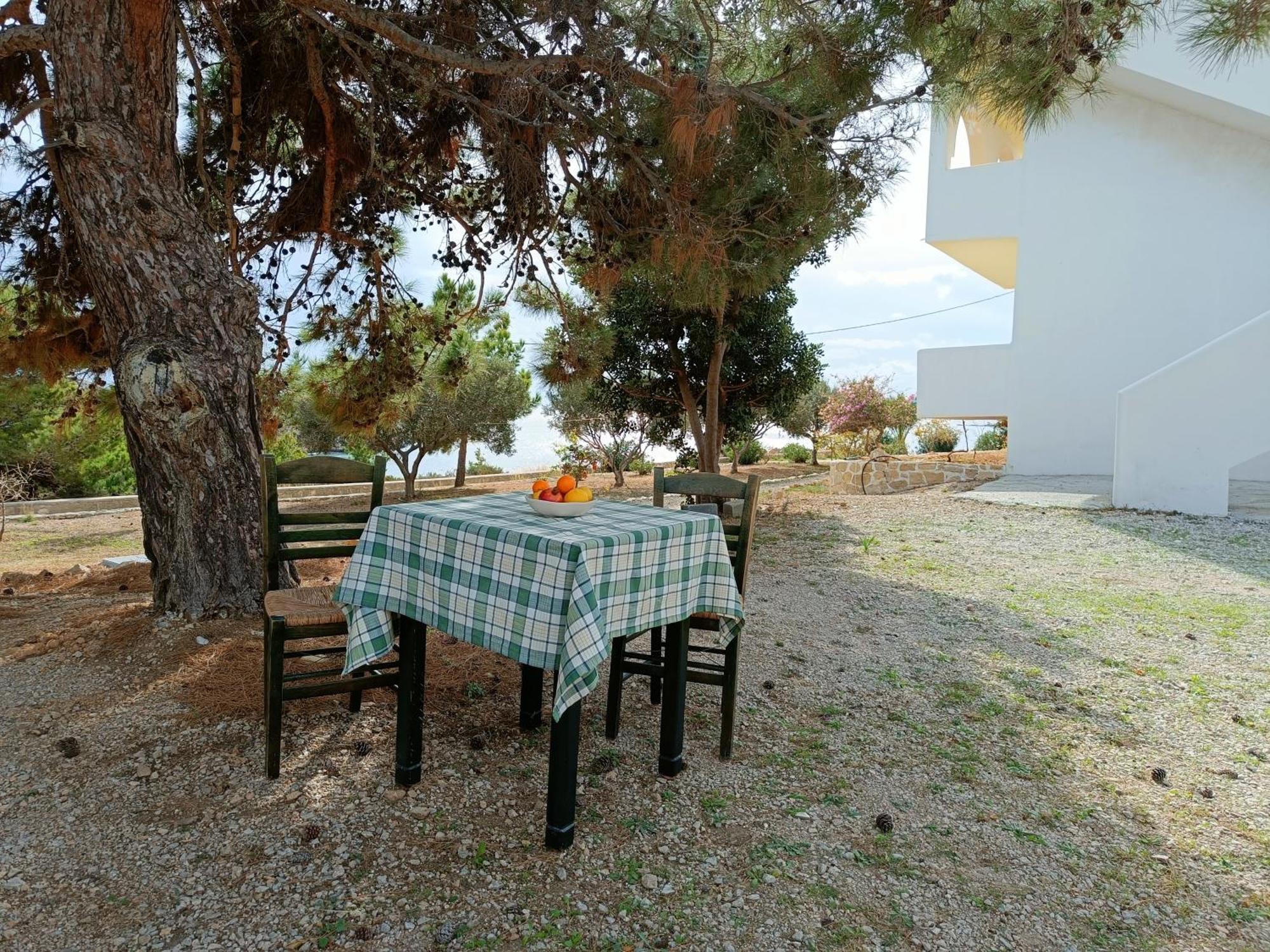 Studios Fokia Beach Αμμοοπή Εξωτερικό φωτογραφία
